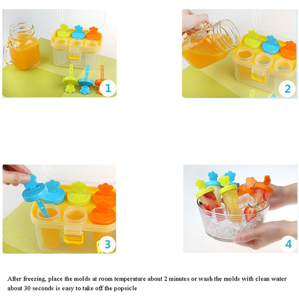 6 Cavity Popsicle With Stand Box