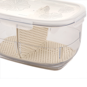 Limon Acrylic Food Container